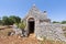 Murge (Apulia, italy) - Trullo and olive trees