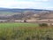 Murge Plateau -The high plains near Minvervino Murge- Puglia Italy 