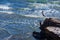 Muriwai Beach cliff jump, Auckland, New Zealand