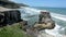 Muriwai gannet colony - New Zealand