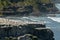 Muriwai gannet colony - New Zealand