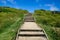 Muriwai Regional Park, New Zealand