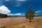 Murky lakes near Brisbane