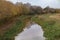 Murky water in autumn on the Bridgewater and Taunton canal in Somerset