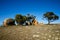 Murphy`s Haystacks