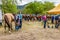 Murrurundi, NSW, Australia, 2018, February 24: Competitors in the King of the Ranges Horse Shoeing Competition