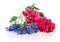 Muscari flower strawberry, apple blossom, Kalanchoe