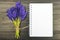 Muscari flowers and blank notebook on a dark wooden table