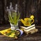 Muscari flowers in a pot, yellow tulips, seeds and a yellow watering can