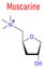 Muscarine mushroom toxin molecule. Agonist of the muscarinic acetylcholine receptors. Skeletal formula.