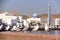 MUSCAT, OMAN: Seagulls at Muttrah corniche with Sur Al Lewatia Mosque in the background