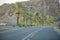 Muscat street , date palms and mountain