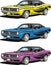 Muscle car