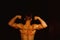 Muscle concept. Bodybuilder with strong muscle torso back. Muscle man flex biceps and triceps. Muscle building exercise