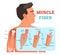 Muscle fiber anatomical vector illustration, medical education information.