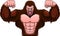 Muscle gorilla cartoon on a white background