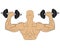 Muscle man with barbell. body building concept drawing illustration