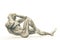 Muscleman anatomy heroic body crunching in white background