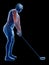 The muscles of a golf player