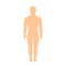 Muscular athletic male body silhouette