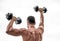 Muscular back man exercising in morning with barbell. fitness and sport equipment. man sportsman weightlifting. steroids