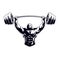 Muscular bodybuilder lift heavy iron barbell