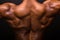 Muscular bodybuilder\'s back