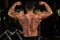 Muscular bodybuilder showing his back double biceps