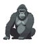 Muscular gorilla mascot isolated