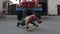 Muscular handsome sportsman doing push-ups with a sledgehammer in front of a fire engine