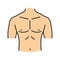 Muscular male chest color icon