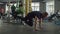 Muscular man training abs and back muscles on trx