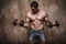 Muscular man working out with dumbbells on wall background