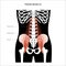 Muscular pelvis concept