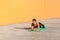Muscular sporty strong beautiful young athletic woman in black sportwear standing on perfect plank position on elbows on green mat