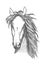 Muscular thoroughbred horse sketch symbol