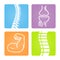 Musculoskeletal Image Icons