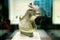 Museum treasure 07~FU YI GONGwine vessel bronzeware,1.Shanghai Museum, China
