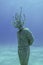 Museum of Underwater Sculpture Ayia Napa MUSAN. Art work sculptor Jason deCaires Taylor. Mediterranean Sea, Ayia Napa, Cyprus