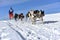 Musher hiding behind sleigh at sled dog