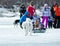 Mushing on husky dogs at Baikal Fishing 2012