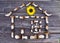 Mushrom boletus house symbol concept with sunflower