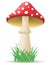 Mushroom amanita vector illustration