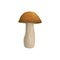 Mushroom boletus or cep vector icon, cartoon plant