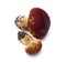 Mushroom (Boletus edulis) - King bolete, penny bun, porcini,cep