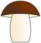 Mushroom (boletus) ilustration