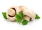 Mushroom champignon fruits with parsley leaves