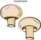 Mushroom champignon. Whole mushroom and mushroom in the section. A bright, colored image. Healthy food. A training card.