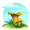 Mushroom chanterelle on the grass under the sky with clouds