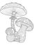 Mushroom coloring vector for adults